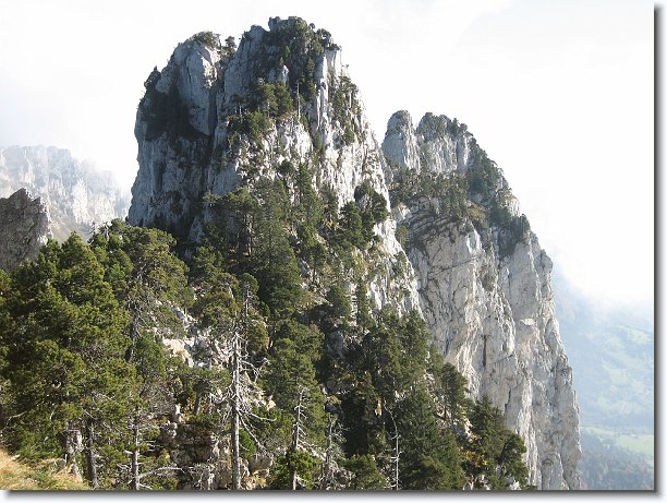 Cliquer pour l\'image originale