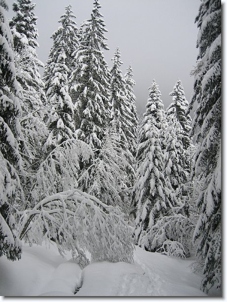Cliquer pour l\'image originale