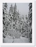 IMG_3425 * 1944 x 2592 * (1.87MB)