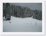 IMG_3482 * 2592 x 1944 * (1.54MB)