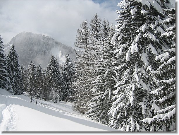 Cliquer pour l\'image originale