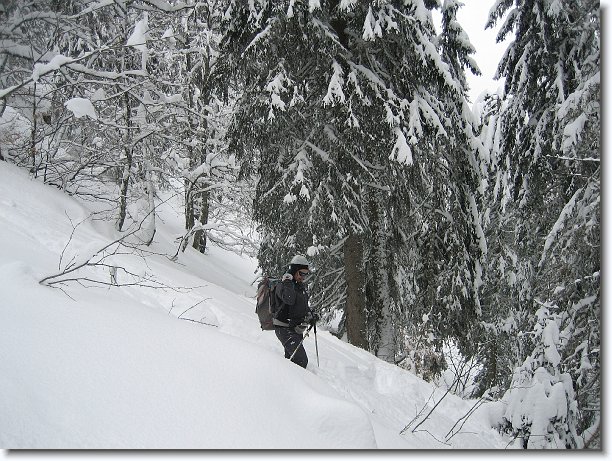 Cliquer pour l\'image originale