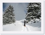 IMG_3487 * 2592 x 1944 * (1.7MB)
