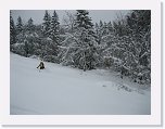 IMG_3505 * 2592 x 1944 * (1.65MB)