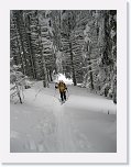 IMG_3511 * 1944 x 2592 * (1.46MB)