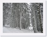 IMG_3513 * 2592 x 1944 * (1.81MB)