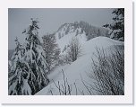 IMG_3516 * 2592 x 1944 * (1.63MB)