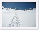 IMG_3656 * 2592 x 1944 * (1.15MB)